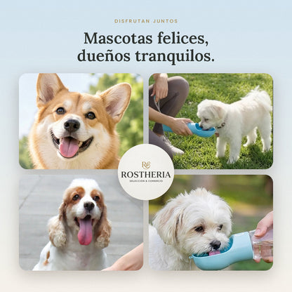 2-in-1 portable pet bottle.